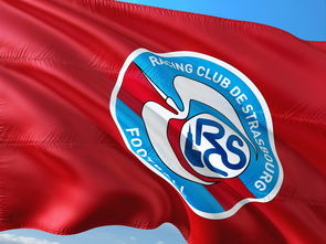 乐鱼体育网页版入口-帕尔梅拉斯新援适应良好，世俱杯表现备受期待